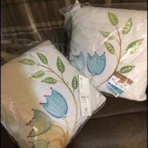2 Beautiful Designer Throw Pillows $30